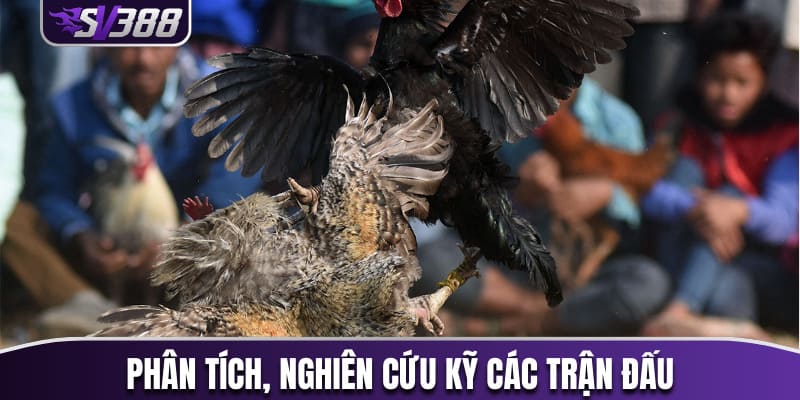 Phân tích, nghiên cứu kỹ lưỡng các trận đấu 